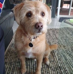 Meet your Posher, Colette